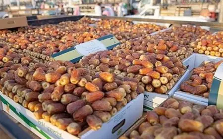 محافظ القاهرة يفتتح اليوم مهرجان القاهرة الدولى الخامس للتمور بحديقة الحرية