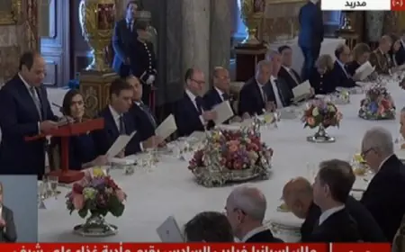 خلال مأدبة غداء .. السيسى يؤكد العلاقة التاريخية مع أسبانيا