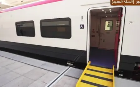 النقل: مجموعة من الخدمات لدعم ذوى الهمم بوسائل النقل السككى والبرى