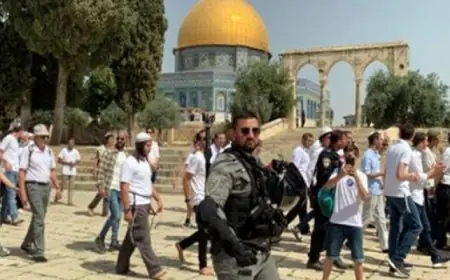 543 مستوطنا يقتحمون الأقصى بحماية الاحتلال الإسرائيلى