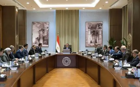 مدبولى يستعرض المخططات الاستراتيجية والموقف التنفيذى لمدينتى السويس وسفنكس الجديدتين