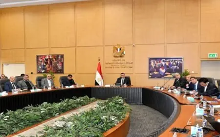 بال .. وزير الإسكان يتابع موقف تنفيذ أبراج الداون تاون وبحيرات كريستال لاجون بمدينة العلمين الجديدة