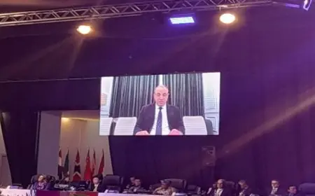 وزير الخارجية لوزارى مجموعة العشرين: مصر تعمل بكل جد مع الشركاء لتثبيت وقف إطلاق النار فى غزة