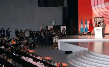 إعلان مراكش يؤكد الالتزام الجماعى بجعل سلامة الطرق أولوية عالمية