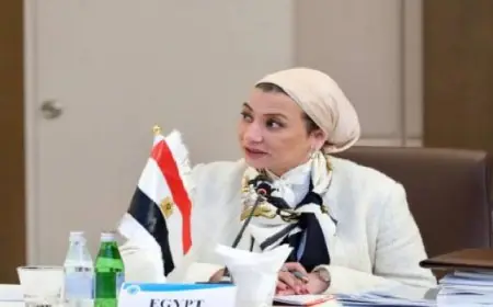 مصر والأردن تناقشان مستجدات خطة “برسجا” فى ظل رئاسة القاهرة