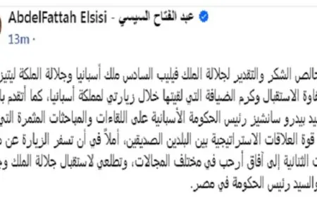 الرئيس السيسى يشكر ملك إسبانيا على حفاوة الاستقبال وكرم الضيافة