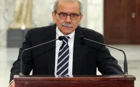 رئيس الحكومة اللبنانية: لا مبرر لاستمرار الاحتلال الإسرائيلى فى جنوب لبنان