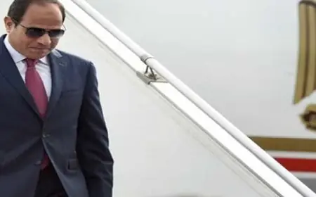 الرئيس السيسى يعود إلى أرض الوطن بعد زيارته لإسبانيا والسعودية