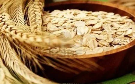 6 أسباب صحية لتناول الشوفان فى الشتاء