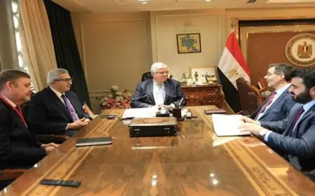 وزير التعليم العالي يبحث آليات تعزيز التعاون مع وفد جامعة إيست إنجليا البريطانية