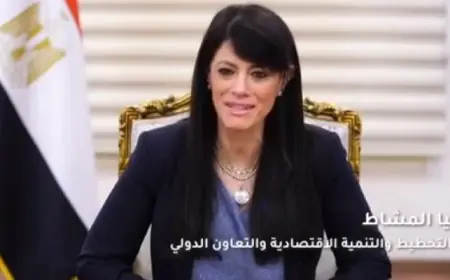 المشاط تؤكد التزام مصر الراسخ بتحقيق التنمية المستدامة وفق “رؤية 2030”