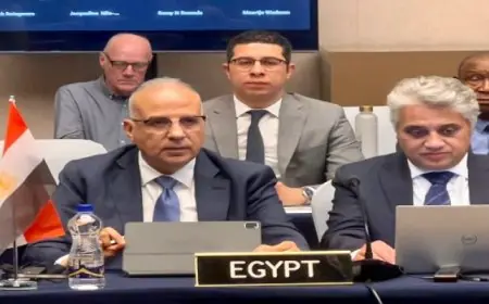 سويلم يشارك فى الاجتماع الاستثنائى للمجلس الوزارى لمبادرة حوض النيل