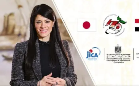 المشاط: التعاون التنموى بين مصر واليابان يعكس عمق الشراكة والعلاقات