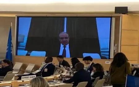 وزير الخارجية يؤكد على ضرورة اضطلاع مجلس حقوق الإنسان بدوره لرفع المعاناة عن الشعب الفلسطينى