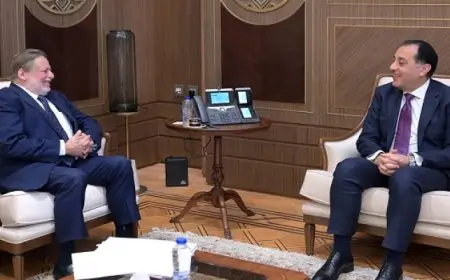 الحكومة: زيادة تحويلات المصريين بالخارج جاءت بفضل وجود سعر صرف موحد للدولار