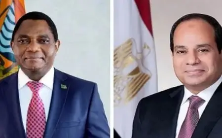 الرئيس السيسى ورئيس زامبيا يشهدان التوقيع على مذكرات تفاهم فى عدد من المجالات