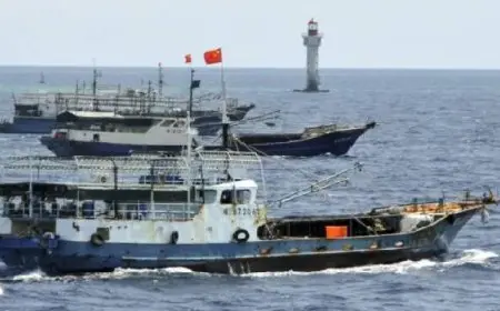 تقرير: سفن صيد صينية تستخدم أطقماً من كوريا الشمالية فى انتهاك للحظر الأممى