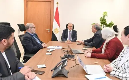 وزير الرى: أعمال حماية “حائط رشيد” تحمى الأراضى الزراعية الخصبة الموجودة بالمنطقة