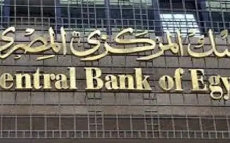المركزى المصرى: معدلات الشمول المالى بمصر تواصل الصعود لتصل إلى 74.8% بنهاية 2024