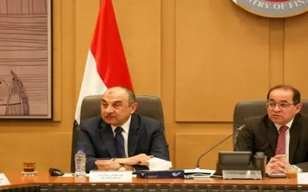 وزيرا قطاع الأعمال والمالية يبحثان تعزيز التعاون فى الملفات المشتركة وفض التشابكات