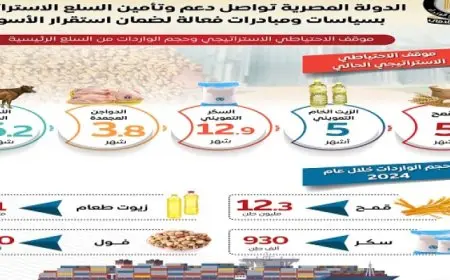 بالإنفوجراف.. مجلس الوزراء: الدولة تواصل دعم وتأمين السلع بسياسات ومبادرات فعالة لضمان استقرار الأسواق