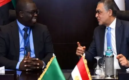 هيئة الاستثمار تستضيف منتدى الأعمال المصرى الزامبى الأول