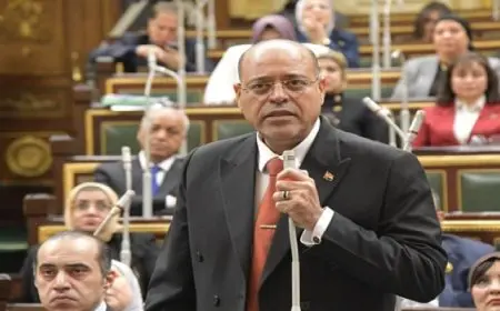 وزير العمل أمام “النواب”: الحكومة حريصة على “قانون عمل” يُراعى معايير العمل الدولية