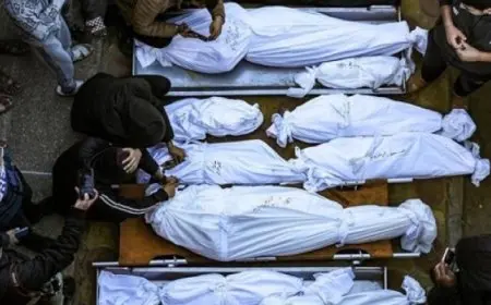 ارتفاع حصيلة العدوان الإسرائيلى على غزة إلى 48 ألفا و388 شهيدا