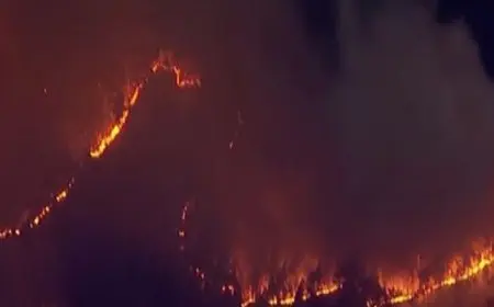 الحرائق تلتهم أكثر من 1400 هكتار من الغابات شمال شرقي اليابان