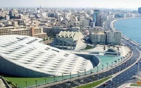 الاحتفال باليوم العالمى للفرانكفونية بمكتبة الإسكندرية