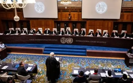 فلسطين تسلم مرافعتها للعدل الدولية بشأن التزامات إسرائيل بوجود وأنشطة الأمم المتحدة والمنظمات الدولية