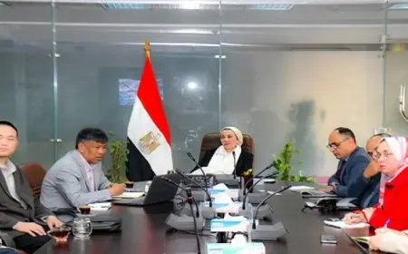 وزيرة البيئة تناقش مع احدى الشركات الصينية توطين تكنولوجيا زراعة الغابات فى مصر
