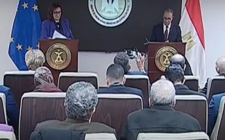 وزير الخارجية يشيد بالزخم الذى تشهده العلاقات بين مصر والاتحاد الأوروبى