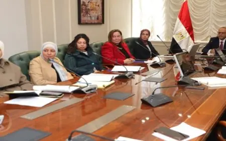 وزير العمل: اكساب المرأة للمهارات اللازمة للالتحاق بسوق العمل وسد الفجوات بين الجنسين فى الأجور