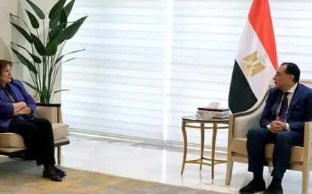 مدبولى يلتقى المفوضة الأوروبية لشئون المتوسط ويشيد بالتطورات الإيجابية للعلاقات المصرية الأوروبية