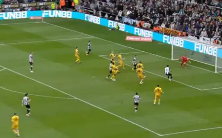 برايتون يتأهل لربع نهائى كأس الاتحاد الانجليزى بفوزه على نيوكاسل 2-1