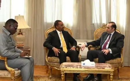 وزير الشئون النيابية يؤكد عمق العلاقات التاريخية والأخوية بين مصر والصومال