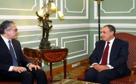 وزير الخارجية يلتقى الدكتور خالد العنانى المرشح المصرى لمنصب مدير عام منظمة اليونسكو