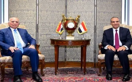 وزير الخارجية يؤكد موقف مصر الداعم لأمن واستقرار العراق الشقيق