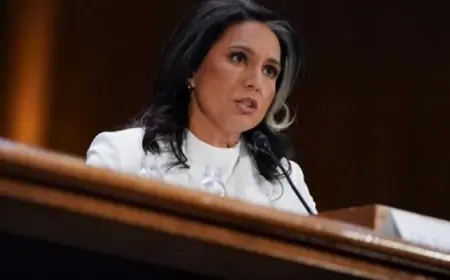 مديرة الاستخبارات الأمريكية: زيلينسكى تسبب بصدع كبير بين بلدينا