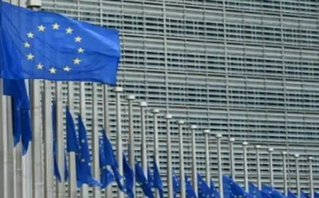 الاتحاد الأوروبى يدعو إلى استئناف سريع للمفاوضات بشأن المرحلة الثانية من وقف إطلاق النار فى غزة