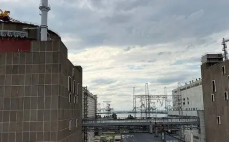 الوكالة الدولية للطاقة الذرية تناقش تأمين محطات الطاقة فى أوكرانيا