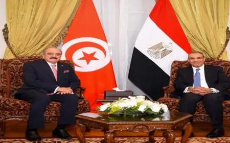 وزير الخارجية يشيد بما يشهده مسار العلاقات الثنائية المصرية – التونسية