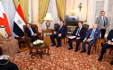 وزير الخارجية والهجرة يشيد بالعلاقات الوطيدة بين مصر والبحرين
