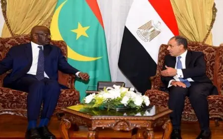 وزير الخارجية لنظيره الموريتانى: نتطلع لتعزيز علاقات التعاون الثنائى