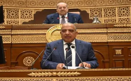وزير الكهرباء أمام “الشيوخ”: إضافة 2 جيجا وات جديدة خلال صيف 2025 لمواجهة الأحمال المتزايدة