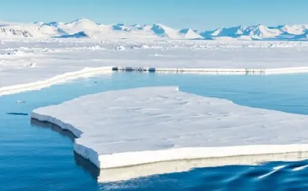 دراسة تحذر من آثار “خطيرة” لذوبان الجليد فى القطب الجنوبى