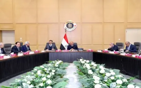 وزيرا النقل والزراعة يبحثان تعزيز الاستفادة من مميزات خط الرورو بين مصر وإيطاليا