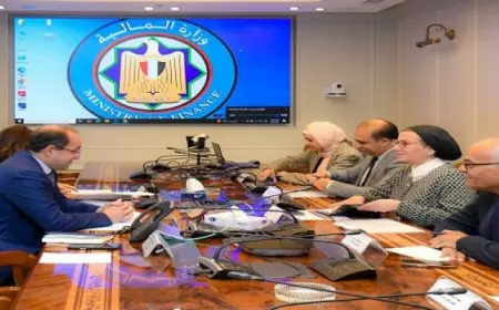 المالية والبيئة: حريصون على تشجيع القطاع الخاص للاستثمار فى مشروعات تحويل المخلفات لطاقة كهربائية