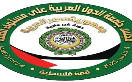 انطلاق القمة العربية الطارئة بالقاهرة اليوم لبحث تطورات القضية الفلسطينية